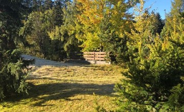 Uehlinger Seegarten Wirz 3