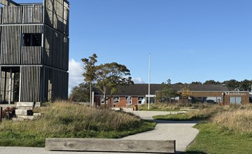 "Elevus" -  from the sea 3