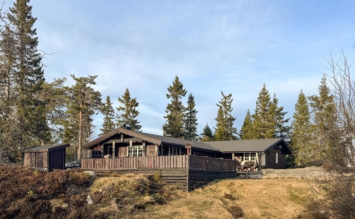 Cozy home in Nissedal with sauna 1