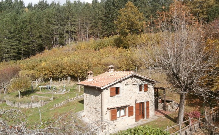 Appartement mit Grill, gemeinsamem Pool und Garten 1