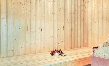 "Aurelia" - 500m to the inlet in Western Jutland 2