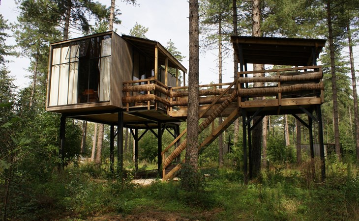 Treetop mit Hot Tub 1