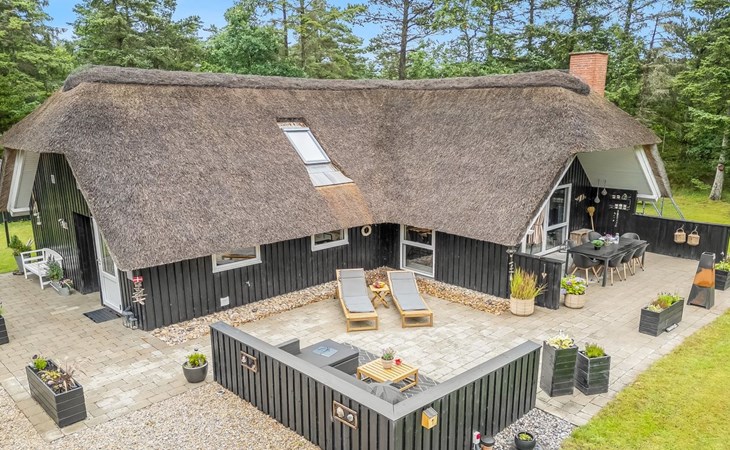 "Arttu" - 2.4km from the sea in Western Jutland 1