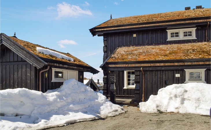 Gorgeous home in Rauland 1
