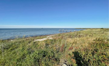 2 bedroom nice home in Harpelunde 2