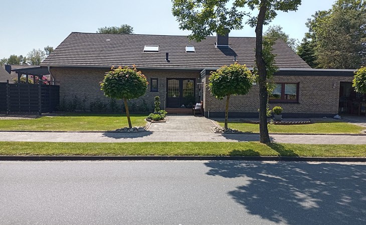 Zwei Finken in Wiesmoor 1