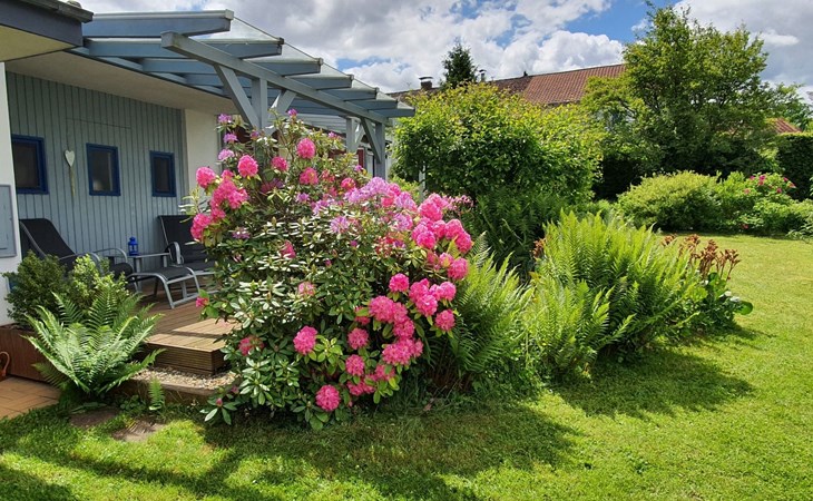 Mit Liebe ausgestattetes Haus im Naturpark 1