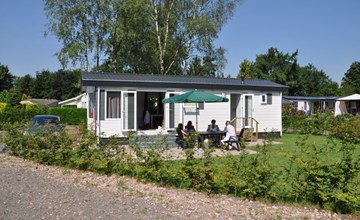 Goudvink 602 2