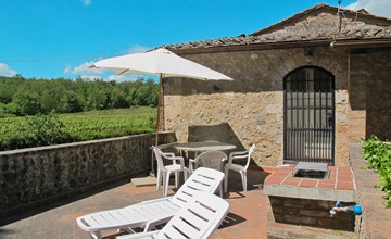 Fattoria Petraglia - Terras 3