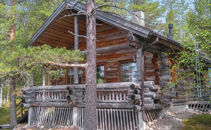 Honkapirtti, jaarling 1