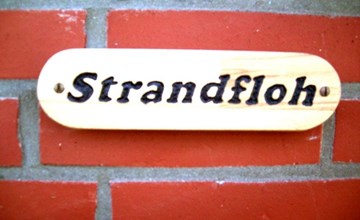 Strandfloh in Hörnum 2