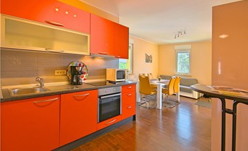 2 bedroom beautiful apartment in Buje 3