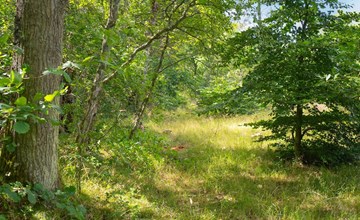 „Thorine“ – 750 m vom Meer entfernt in Nordostjütland 3