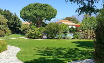 Een Merula (CAL120) 3