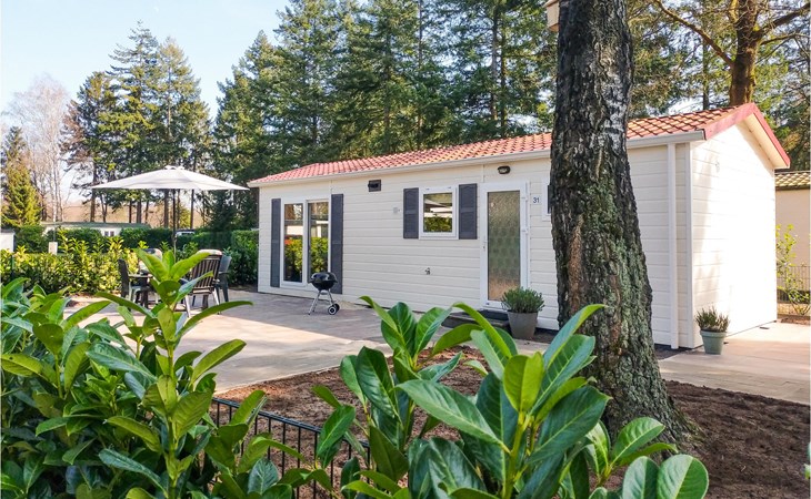 Pet friendly home in Vorden with WiFi 1