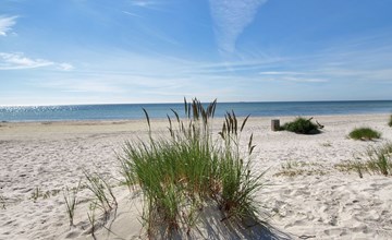 „Windelgard“ – 140 m vom Meer entfernt in Bornholm 3