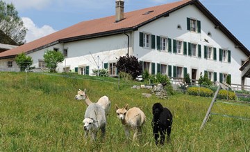 Gite - Ferme O'Clés 2