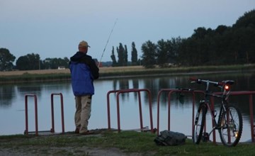 Möwe in Ummanz-Lüßvitz 2