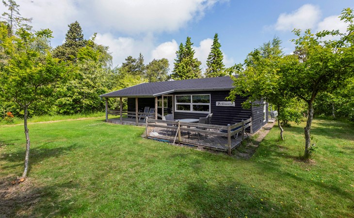 3 bedroom nice home in Skjern 1