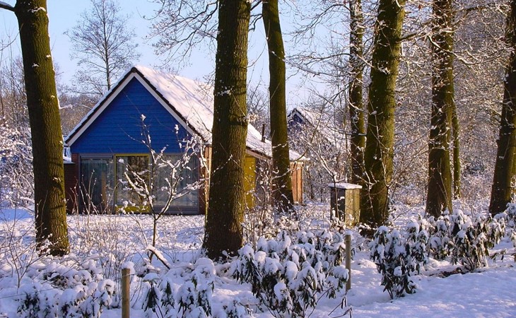 Bungalow Ijssel Comfort für 4 Personen 1