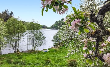1 bedroom lovely apartment in Lindesnes 2