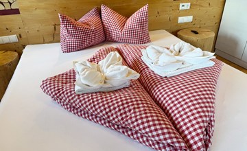 Almchalet Zillertal 2