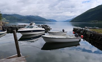 Nausthammar (FJS706) 3