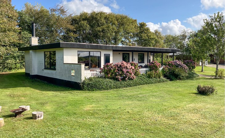 Pet friendly home in Struer with WiFi 1