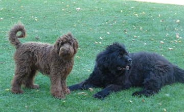 hist. Schafscheune 3