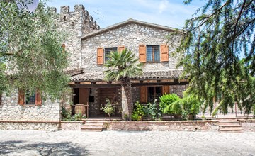 Jahrhundertealter Olivenbaum 3