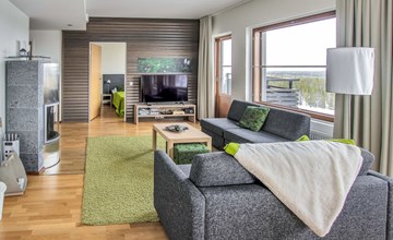 Nordic chalet 9506 3