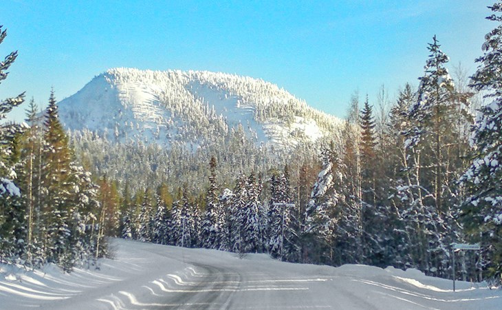 Ruka sinirinta as. 1 1