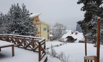 Villa Albatros in Oberdellach 3