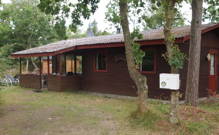 "Friis" - 100m from the sea 1