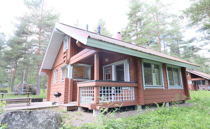 Puolukka 2 1