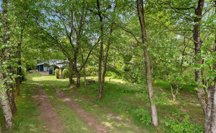 "Erlar" - 30 km van de zee in West-Jutland 1