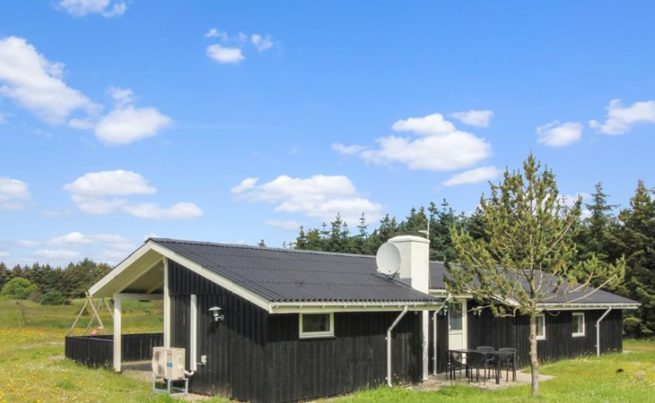 "Daje" - 600m from the sea in NW Jutland 1