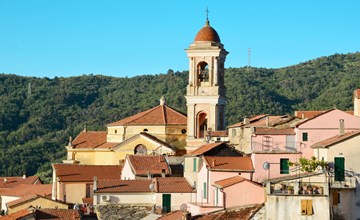 Light blue (PTB145) 3