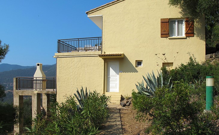 Asphodels (NLO102) 1