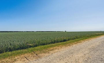 "Anella" - 200m from the sea in SE Jutland 2