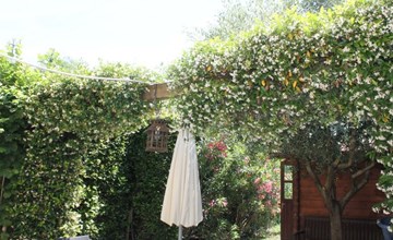 in Carlotte mit Eigenem Garten 2