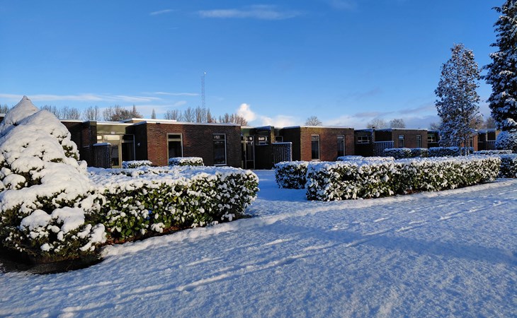 Schipbeek Bungalow | 6 personen 1