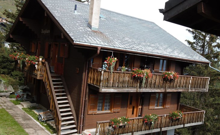 Bärgblüemli - 1e verdieping west 1