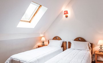 Der Wald der Königin 3