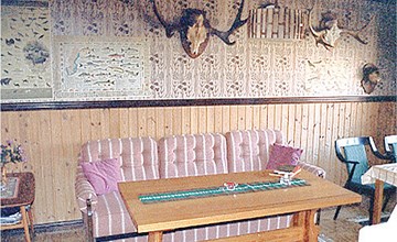 Nice home in Blomstermåla with sauna 3