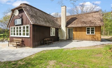 "Fina" - 15km from the sea in Western Jutland 3