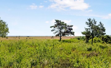 "Griselda" - all-inclusive - 400 meter van de zee in NO Jutland 2