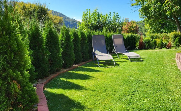 Apartment mit Hund 1