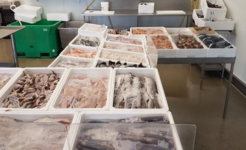 "Golubinka" - 500m from the sea in Djursland and Mols 3