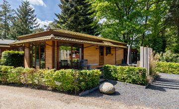 Tiny Lodge 2